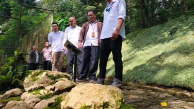 kebun raya cibodas