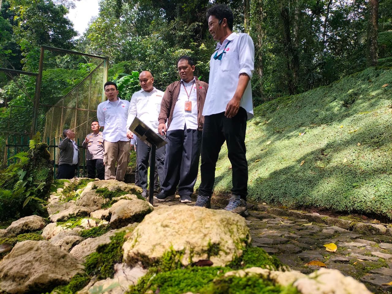 kebun raya cibodas