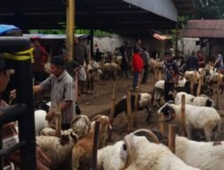 Pasar Hewan Cianjur Ramai Pembeli Jelang Iduladha, Harga Masih Stabil