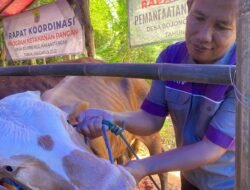 DPKHP Cianjur Akui Masih Kekurangan Dokter Hewan