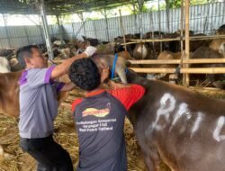 DPKHP Cianjur Kerahkan 46 Petugas Periksa Hewan Kurban