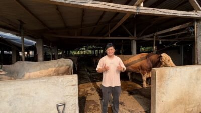 Penjualan Hewan Kurban di Cianjur Mulai Naik Jelang Idul Adha 2026