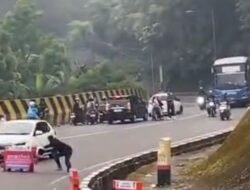 Viral Keributan di Puncak Pass, Mobil Dihadang hingga Dilempar Helm, Ini Penjelasan Polisi