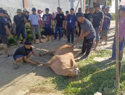 Jejak Keikhlasan di Balik Ibadah Qurban Warga Iscalton Residence