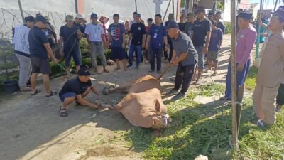 Jejak Keikhlasan di Balik Ibadah Qurban Warga Iscalton Residence