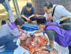 DPKHP Cianjur Jamin Daging Hewan Kurban Penuhi Standar ASUH