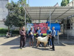 Citimall Cianjur Berbagi Hewan Kurban kepada Masyarakat Sekitar