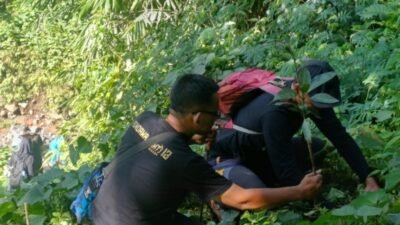 penanaman pohon