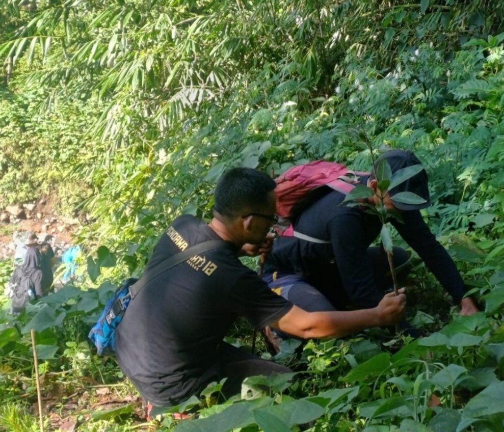penanaman pohon