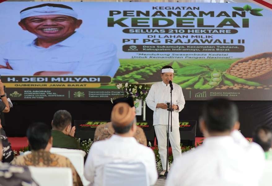 Gubernur Jawa Barat Dedi Mulyadi (KDM) menghadiri kegiatan penanaman kedelai di lahan seluas 210 hektare dalam rangka mendukung swasembada kedelai 2026.