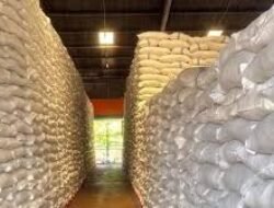 Kabar Baik! Bantuan Beras 10 Kg Kembali Cair Tiga Bulan Mulai Juli 2026