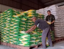 Harga Kebutuhan Pokok Hari Ini 9 Juni 2026: Beras Premium Rp14.591 per Kg, Minyak Goreng Curah Rp21.100 per Liter