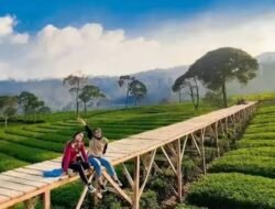 Rekomendasi Tempat Wisata Bandung Terbaik 2026: Alam, Keluarga, Hingga Wisata Kota yang Wajib Dikunjungi