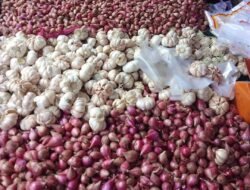 Harga Bawang Hari Ini 11 Juni 2026, Bawang Merah Tembus Rp39.620 per Kg, Bawang Putih Rp35.828 per Kg