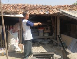 Puluhan Ekor Ayam dan Bebek Raib dalam Semalam, Warga Karangtengah Resah