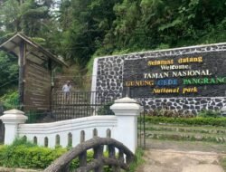 TNGGP Tutup Akses Pendakian Selama Jakarta Open Trail Run 2026