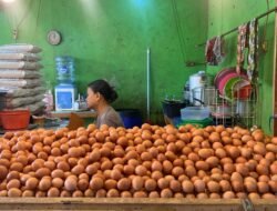 Program MBG Libur, Harga Telur di Cianjur Turun Jadi Rp26 Ribu per Kg