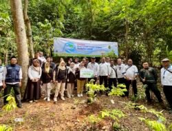 Dari Pakaian, Buku, hingga 29.000 Pohon: PNM Perluas Makna Pemberdayaan di Masyarakat Akar Rumput