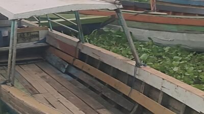Perahu