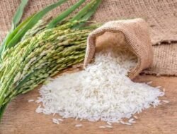 Harga Beras, Minyak Goreng, dan Tepung Terigu Hari Ini, Selasa 21 Juli 2026: Cek Daftar Terbarunya