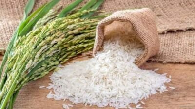 Harga Beras, Minyak Goreng, dan Tepung Terigu Hari Ini, Selasa 21 Juli 2026: Cek Daftar Terbarunya