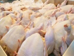 Harga Daging Hari Ini 23 Juli 2026, Ayam Broiler Rp35.948 per Kg dan Sapi Rp146.333