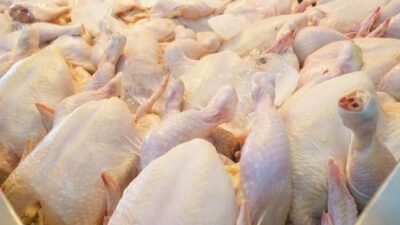Harga Daging Hari Ini 23 Juli 2026, Ayam Broiler Rp35.948 per Kg dan Sapi Rp146.333