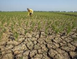 BMKG Keluarkan Peringatan Dini Kekeringan Meteorologis Dasarian III Juli 2026, Cianjur hingga Puluhan Daerah di Jabar Masuk Status Waspada