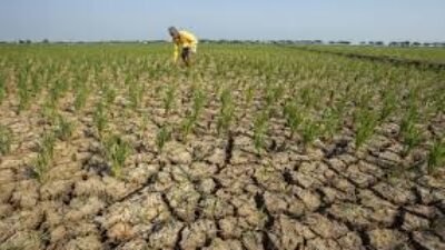 BMKG Keluarkan Peringatan Dini Kekeringan Meteorologis Dasarian III Juli 2026, Cianjur hingga Puluhan Daerah di Jabar Masuk Status Waspada