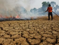 Pemkab Cianjur Perkuat Mitigasi Hadapi Kekeringan dan Karhutla