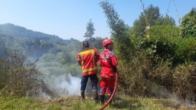 Kebakaran Lahan di Jalan Raya Cipanas Diduga Berasal dari Pembakaran Sampah