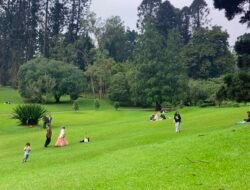 Libur Sekolah Dongkrak Kunjungan Kebun Raya Cibodas hingga 30 Persen
