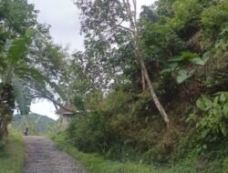 Pemkab Cianjur Butuh Rp14 Miliar Perbaiki Jalan dan Jembatan Gantung Cikadu