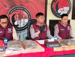 15 Kg Ganja Siap Edar Disita, Dua Terduga Pengedar Dibekuk