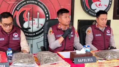 15 Kg Ganja Siap Edar Disita, Dua Terduga Pengedar Dibekuk