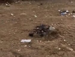 Sampah dan Bekas Api Unggun Kotori Alun-alun Suryakencana Gunung Gede