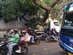 Truk Kontainer Tabrak Pohon, Jalur Bandung – Cianjur Sempat Lumpuh