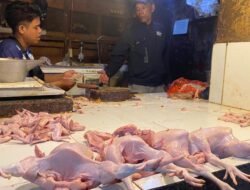 MBG Kembali Beroperasi, Harga Daging Ayam di Pasar Muka Ikut Naik