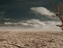 BMKG Keluarkan Peringatan Dini Kekeringan Meteorologis, Puluhan Daerah di Indonesia Berstatus Siaga