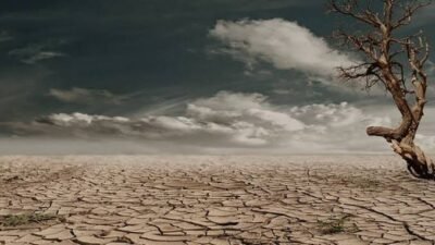 BMKG Keluarkan Peringatan Dini Kekeringan Meteorologis, Puluhan Daerah di Indonesia Berstatus Siaga