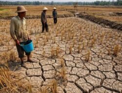 BMKG Ingatkan Dampak El Niño 2026, Ancaman Kekeringan hingga Inflasi Daerah Perlu Diwaspadai