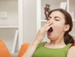 5 Penyebab Hari Senin Sering Bikin Malas, Ternyata Bukan Sekadar Mitos
