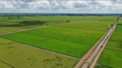 Petani Akui Program Pemerintah Berdampak Nyata, Produktivitas Pertanian Terus Meningkat
