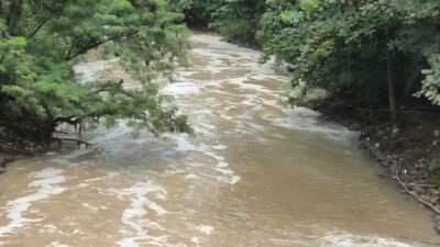 Cara Agar Sungai Tidak Tercemar, Ini Langkah yang Bisa Dilakukan Bersama