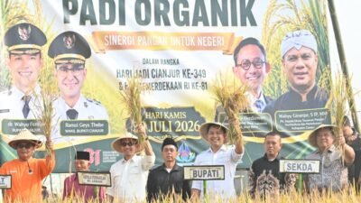 Panen Raya Padi Organik di Warungkondang, Bupati Wahyu Harap Cianjur Jadi Sentra Beras Organik Nasional