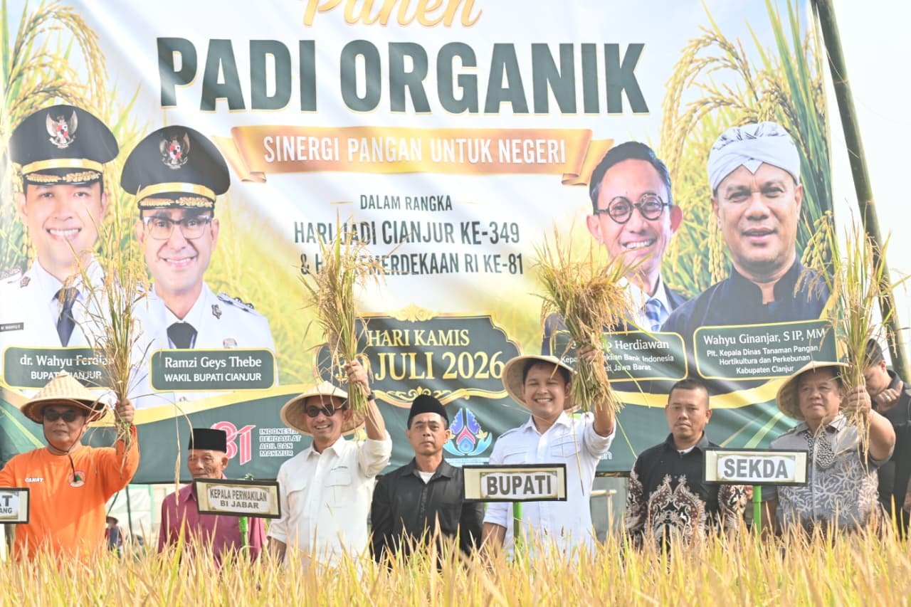 Panen Raya Padi Organik di Warungkondang, Bupati Wahyu Harap Cianjur Jadi Sentra Beras Organik Nasional