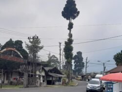 Usai Video Viral, Pemkab Cianjur dan Pelaku Wisata Sepakat Benahi Kawasan Cibodas