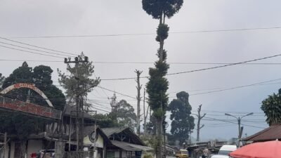 Usai Video Viral, Pemkab Cianjur dan Pelaku Wisata Sepakat Benahi Kawasan Cibodas