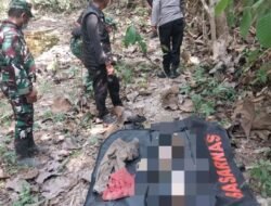 Kerangka Manusia Ditemukan di Hutan Sindangbarang, Polisi Lakukan Penyelidikan
