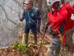 Perjuangan Relawan Padamkan Api di Gunung Gede, Bikin Parit hingga Turun Lereng